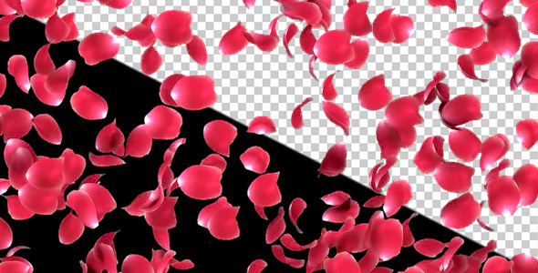 Rose Petals Falling by nido3d | VideoHive